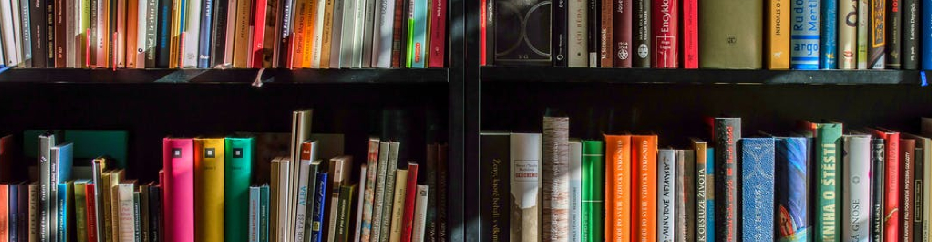 Sin título-1_Mesa de trabajo 5_Mesa de trabajo 1_Mesa de trabajo 1_Mesa de trabajo 1_Mesa de trabajo 1